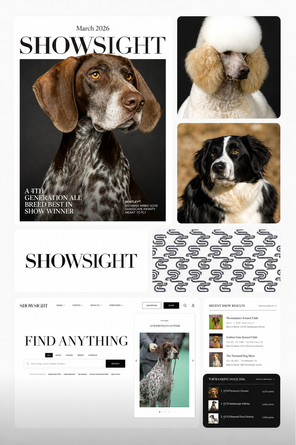 SHOWSIGHT case study visual