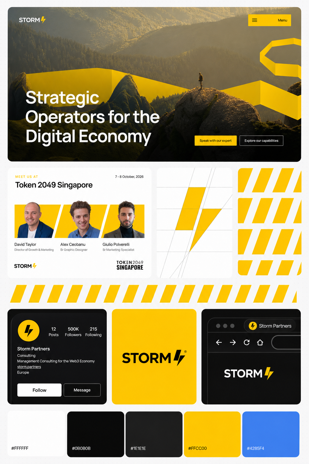 STORM case study visual